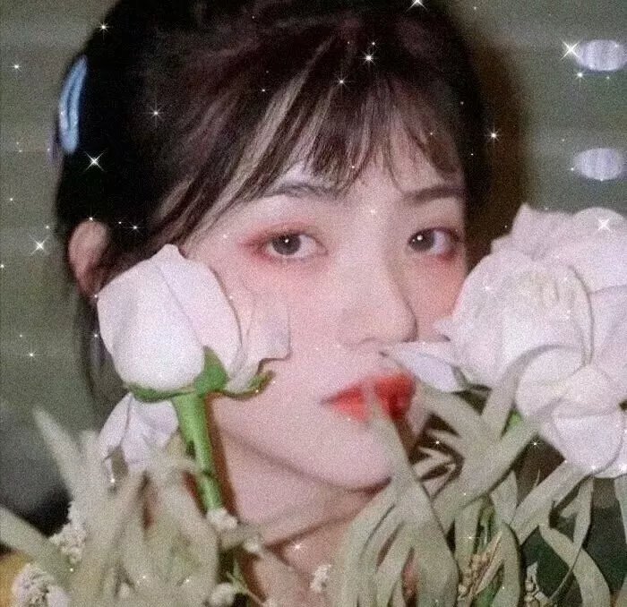 冰天侠女