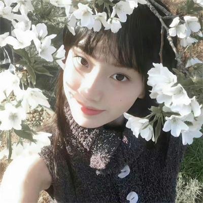 莎吉的彩色世界