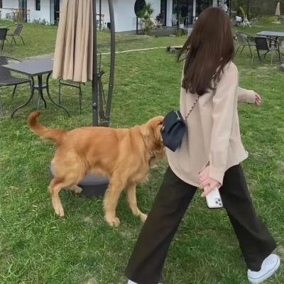 危险物种